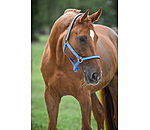 Headcollar Primary