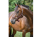 Headcollar Primary