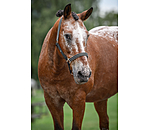 Headcollar Primary