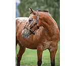 Headcollar Primary