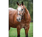 Headcollar Primary