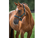 Headcollar Primary