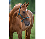 Headcollar Primary