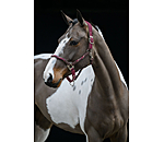 Anatomical Headcollar Sophistication