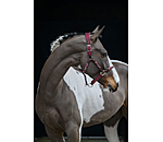 Anatomical Headcollar Sophistication