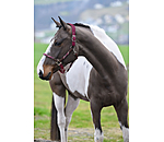 Anatomical Headcollar Sophistication