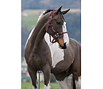 Anatomical Headcollar Sophistication