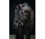 Anatomical Headcollar Sophistication
