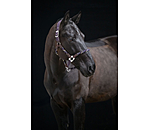 Anatomical Headcollar Sophistication