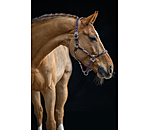 Anatomical Headcollar Sophistication