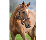 Anatomical Headcollar Sophistication