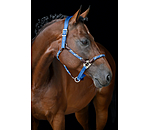 Anatomical Headcollar Sophistication