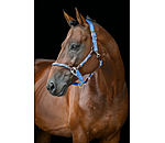 Anatomical Headcollar Sophistication