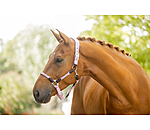 Anatomical Headcollar Sophistication