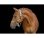 Anatomical Headcollar Sophistication