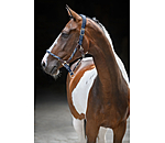 Anatomical Headcollar Sophistication