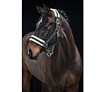 Headcollar Night Sky