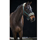 Headcollar Night Sky