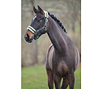 Headcollar Night Sky