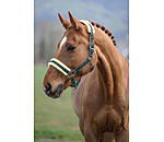 Headcollar Night Sky