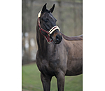 Headcollar Night Sky