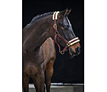 Headcollar Night Sky