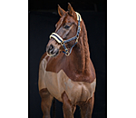 Headcollar Night Sky