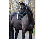 Headcollar Glitter