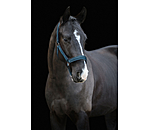 Headcollar Glitter