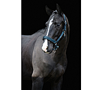Headcollar Glitter
