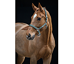 Headcollar Glitter