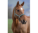 Headcollar Glitter