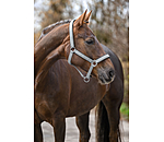Headcollar Glitter