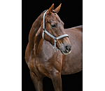 Headcollar Glitter
