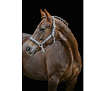 Headcollar Glitter