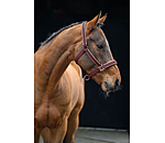 Headcollar Glitter