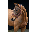 Headcollar Glitter