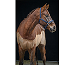 Headcollar Glitter