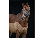 Headcollar Glitter