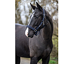 Headcollar Glitter