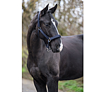Headcollar Glitter