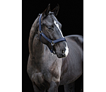 Headcollar Glitter