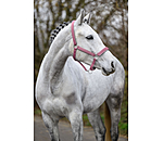 Headcollar Glitter