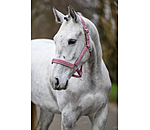 Headcollar Glitter