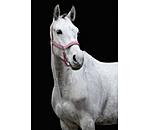 Headcollar Glitter
