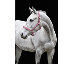Headcollar Glitter