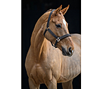 Headcollar Glitter