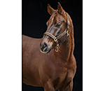 Headcollar Glitter