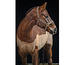 Headcollar Glitter