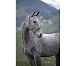 Headcollar Glitter